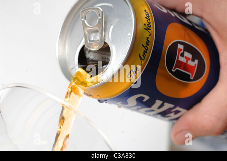 anschauliches Bild von Fosters Lager. Stockfoto