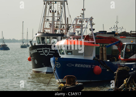 Herzmuschel Boote vertäut am Kai in alten Leigh, Essex, Stockfoto