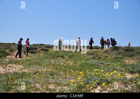 Viele Israelis besuchen Naturschutzgebiete im Frühling, genießen die lokalen Wildblumen Stockfoto