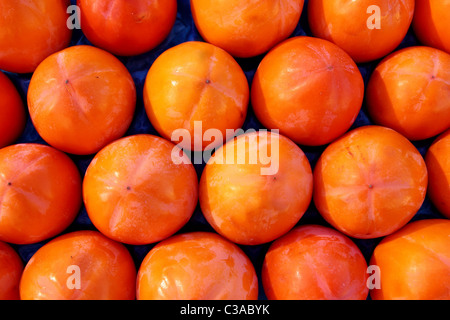 Persimon Früchte Muster in Reihen Anordnung Obst Hintergrund Stockfoto