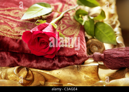 klassische rote rose auf Stickerei Vintage samt Kissen golden Grenze Stockfoto