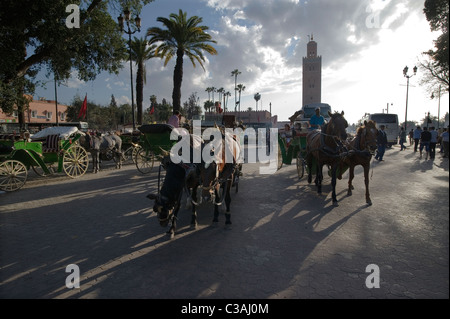 Marrakesch, Marokko, 15.04.2011. Caleches warten auf Touristen in den Place Charles de Foucauld in der Dämmerung mit der Koutoubia-Minarett, ergänzt durch S Stockfoto