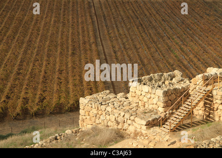 Israel, führte, Tel Lachish, Ortsbild des biblischen Lachish, das Stadttor Stockfoto