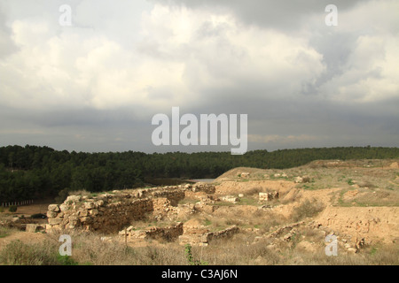 Israel, führte, Tel Lachish, Ortsbild des biblischen Lachish Stockfoto