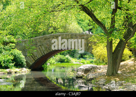 Gapstow Brücke über den Teich im Central Park in New York City. Stockfoto
