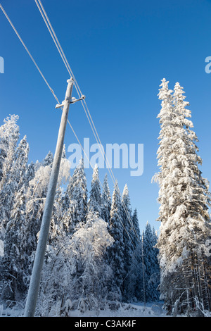 Verschneite Pfosten im Winter auf dem Land im Taiga-Wald, Finnland Stockfoto