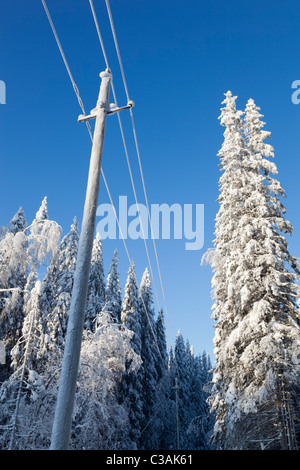 Verschneite Strommast- und Freileitungen im Winter im Taiga-Wald in Finnland Stockfoto