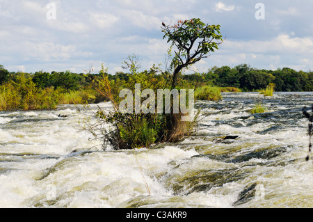 Popa Wasserfälle, Stromschnellen am Okavango Fluss, Caprivi Strip, Namibia, Afrika Stockfoto