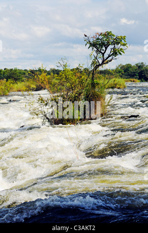 Popa Wasserfälle, Stromschnellen am Okavango Fluss, Caprivi Strip, Namibia, Afrika Stockfoto