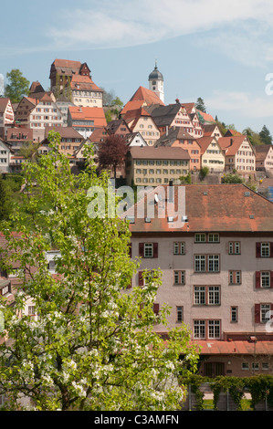 Blick auf die Stadt Altensteig, Kreis Calw, Schwarzwald, Baden-Württemberg, Deutschland Stockfoto