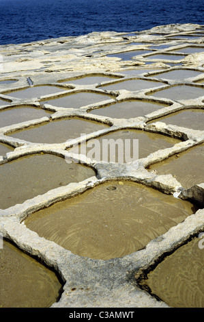 Salz Verdampfung Pfannen schneiden in Sandstein am Mittelmeer an der Xwejni Bucht auf der maltesischen Insel Gozo. Stockfoto