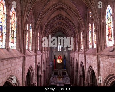 Gewölbe des Kirchenschiffs Basílica del Voto Nacional, Basilika des nationalen Gelübdes, Quito, Ecuador Stockfoto