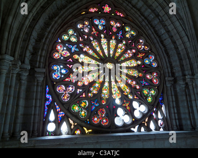 Glasmalerei-Rosette, Basílica del Voto Nacional, Basilika des nationalen Gelübdes, Quito, Ecuador Stockfoto