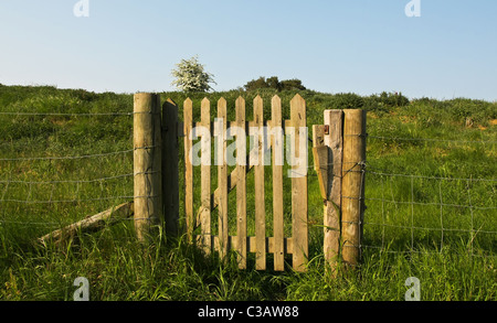 Tor vor einem grasbewachsenen Hügel an einem sonnigen Tag in England Stockfoto