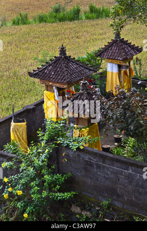 Jedes Haus hat HINDU Tempel, Shiva, Vishnu und Brama in diesem ländlichen Dorf unter Reis Felder SIDEMAN ROAD - BALI gesehen, Stockfoto