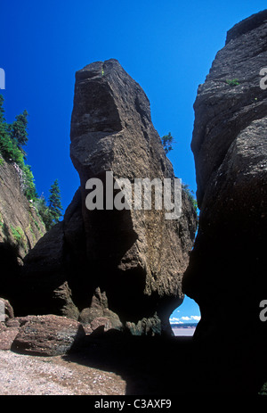 Blumentopf rockt, Hopewell Rocks, Bay Of Fundy, Baie de Fundy, Hopewell Cape, Provinz New Brunswick, Kanada, Nordamerika Stockfoto