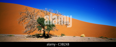 Namibia, Wüste Namib, Naukluft Nationalpark, Sossusvlei Dünen, die Düne 45 Stockfoto