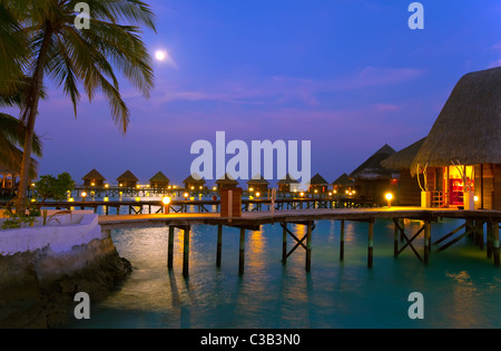 Insel im Ozean, Malediven. Nacht. Mond über Palm Bäume glänzt Stockfoto