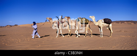 Libyen, Sahara, Kamel Trekking im Tassili Maghidet Stockfoto