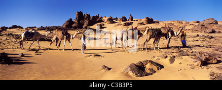 Libyen, Sahara, Kamel Trekking im Tassili Maghidet Stockfoto