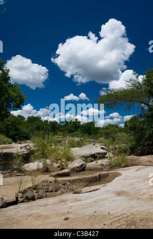 Hluhluwe Nationalpark, Südafrika Stockfoto