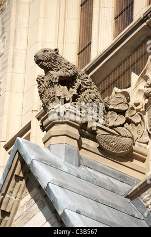Biber-Statue, Detail des kanadischen Parlamentsgebäude in Ottawa. Stockfoto