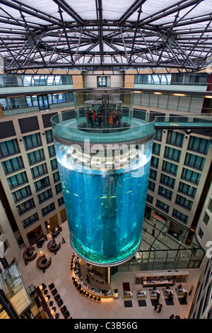 Der AquaDom im Sealife Center im Radisson SAS Hotel, Berlin, Deutschland Stockfoto