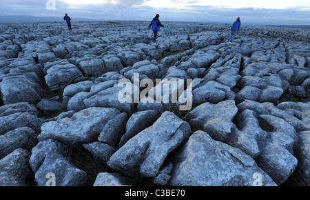 Kalkstein Pflaster auf Ingleborough (Hügel) in den Yorkshire Dales, England. Stockfoto