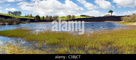 Panorama von Riddy Teich in Mendips, Somerset mit geschwärzten Landschaft nach Bürstenfeuer erlittenen an sonnigen Tag Stockfoto