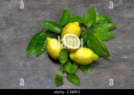drei Zitronen mit grünen Blättern Stockfoto