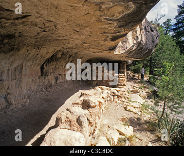 Walnut Canyon Nationalmonument liegt südlich, östlich von Flagstaff, Arizona und enthält Klippenwohnungen, gebaut von einem Native American Stockfoto