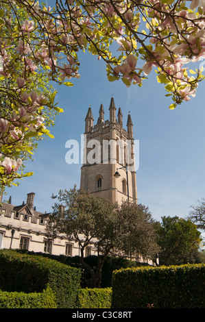 Magdalen College, Oxford, England, UK von der südlichen Seite der Hauptstraße, neben dem Botanischen Garten gesehen Stockfoto