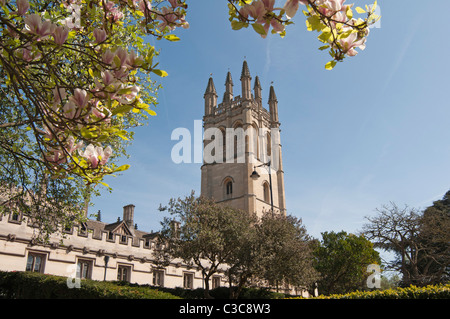 Magdalen College, Oxford, England, UK von der südlichen Seite der Hauptstraße, neben dem Botanischen Garten gesehen Stockfoto