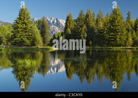 Rocky Mountain Reflexion am Morgen Stockfoto