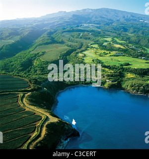Hawaii, Maui, Valley Island, Honolua, Kiefer Felder, West Maui, Antenne Bay und West Maui Mountains, Kapalua Golf Course Stockfoto