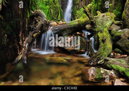 Skala Kraft, der größte Wasserfall im englischen Lake District Stockfoto