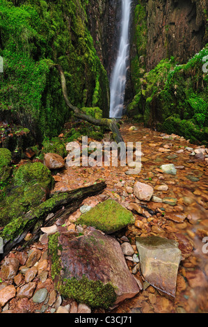 Schmale Schlucht von Scale Force Wasserfall zwischen Buttermere und Crummock Wasser im englischen Lake District Stockfoto