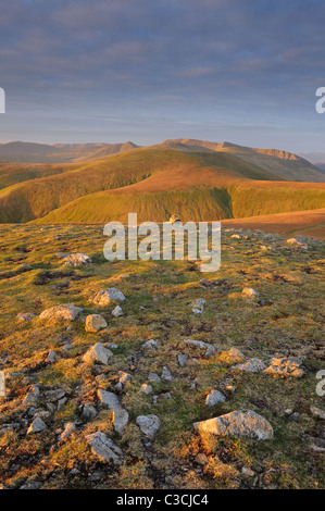 Morgendämmerung auf Stybarrow Dodd und Lakelandpoeten, große Dodd im englischen Lake District entnommen Stockfoto