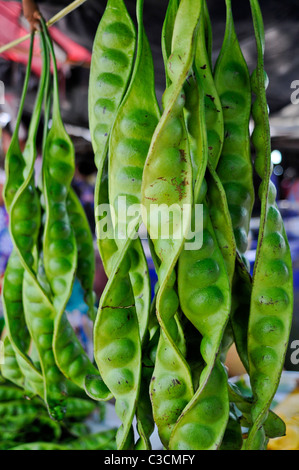 Riesige verdrehten Erbsenschoten hängen in einem tropischen Marktstand.  Ein gutes Beispiel für die Reifen lebendig und exotische Früchte in Südost-Asien. Stockfoto