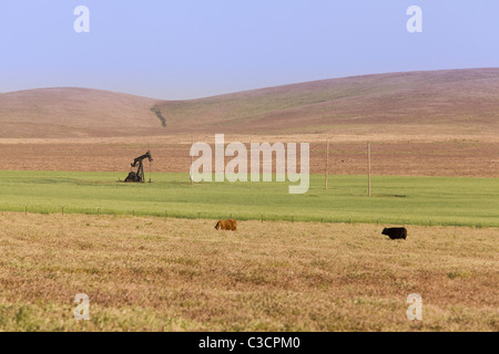Pump Jack in der Mitte einer Farm - Kern River Ölfeld Coalinga, Kalifornien USA Stockfoto