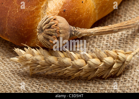 Getrocknete Getreide Ohr und Mohn Stiel mit Bauernbrot-Konzept. Stockfoto