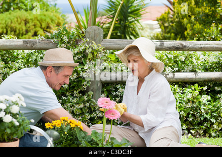 Älteres Paar im Garten arbeiten Stockfoto