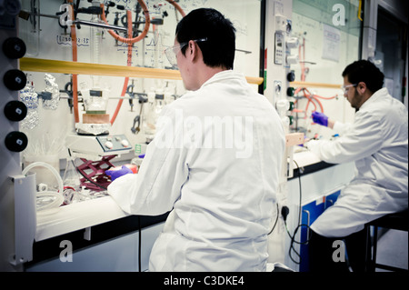 männliche Wissenschaftler tragen weiße Kittel und lila Handschuhe im Labor arbeiten bei Laborabzug sitzen Stockfoto