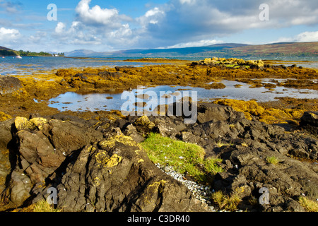 Ebbe mit bunten Algen entlang der Küste in der Nähe von Salen auf der Sound of Mull, genommen auf eine Birght sonnigen Herbsttag Stockfoto