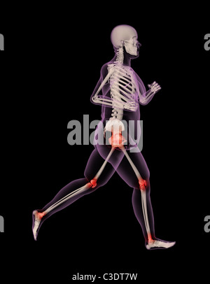 3D Render ein Übergewicht weiblichen Skelett anlaufen, die Druckpunkte auf Gelenke Stockfoto