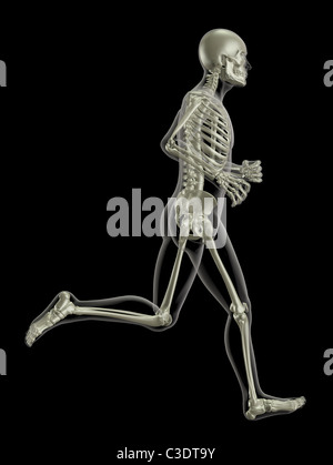 3D Rendern eines medizinischen Skeletts in einer laufenden pose Stockfoto