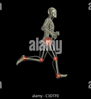 3D Rendern eines Skeletts mit Bein Gelenke hervorgehoben Stockfoto