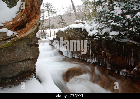 Franconia Notch State Park in den White Mountains, New Hampshire Stockfoto