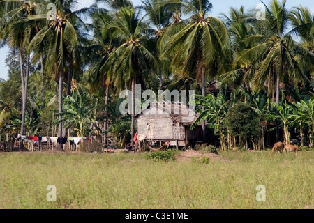 Einem typischen ländlichen Bauernhof und sein Holz nach Hause Essenz die des Landlebens in Kratie, Kambodscha. Stockfoto