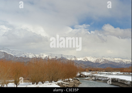 Indus-Tal im Winter in Ladaks, Indien Stockfoto